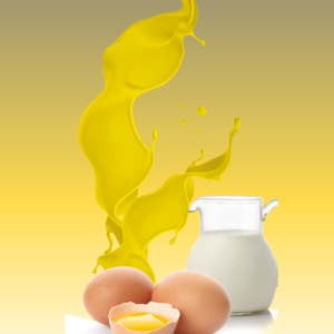 Crema pasticcera 6pz x 2kg