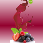 Screenshot_frutti di bosco